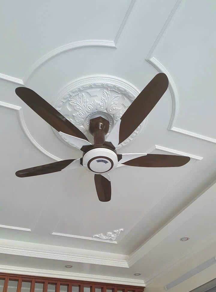 z5885546237185_bccc43ba9b6c958b169a55ec5a5b0bd1