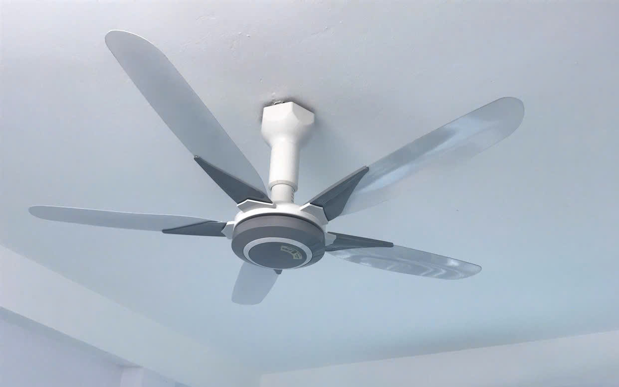 z5885546242040_0c3c33b2419113f1cdd3257363959c03